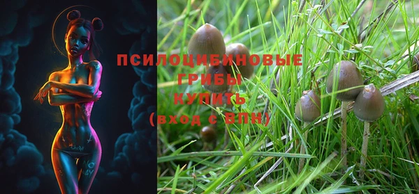 MDMA Premium VHQ Нея