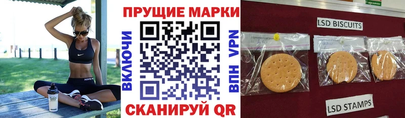 дарнет шоп  Братск  Марки 25I-NBOMe 1,5мг 