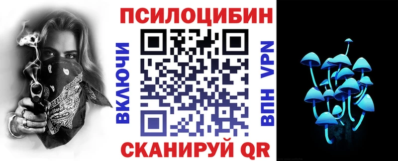 blacksprut как войти  Братск  Галлюциногенные грибы Psilocybine cubensis 
