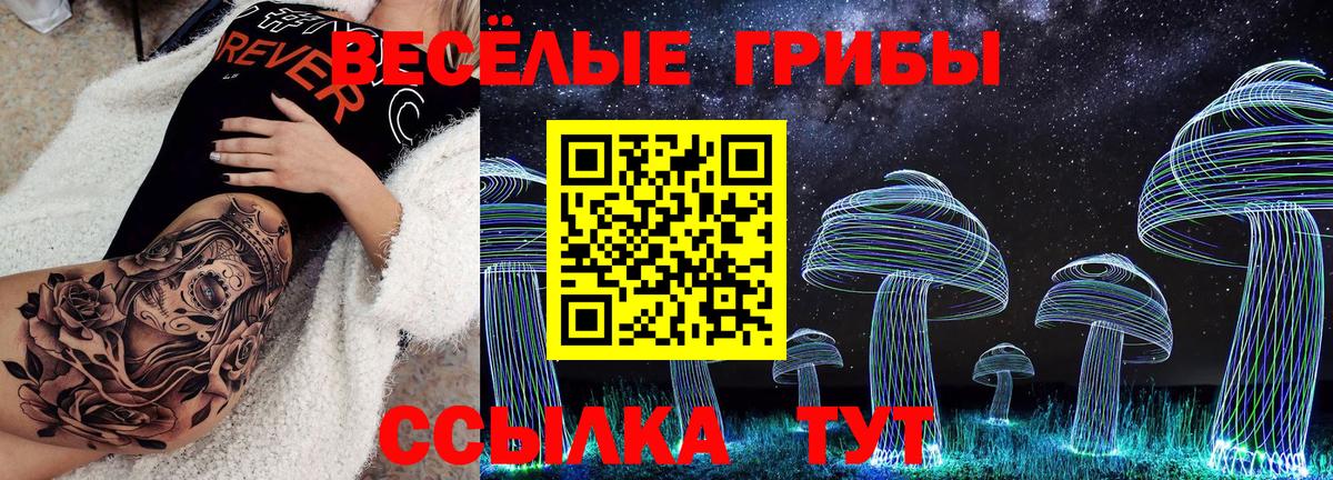 Галлюциногенные грибы Psilocybine cubensis Братск