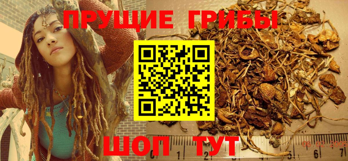 Братск  Псилоцибиновые грибы GOLDEN TEACHER  Вход с VPN 