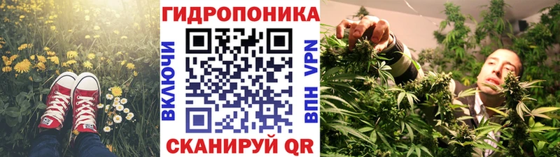 Шишки марихуана индика  блэк спрут ссылка  Братск 